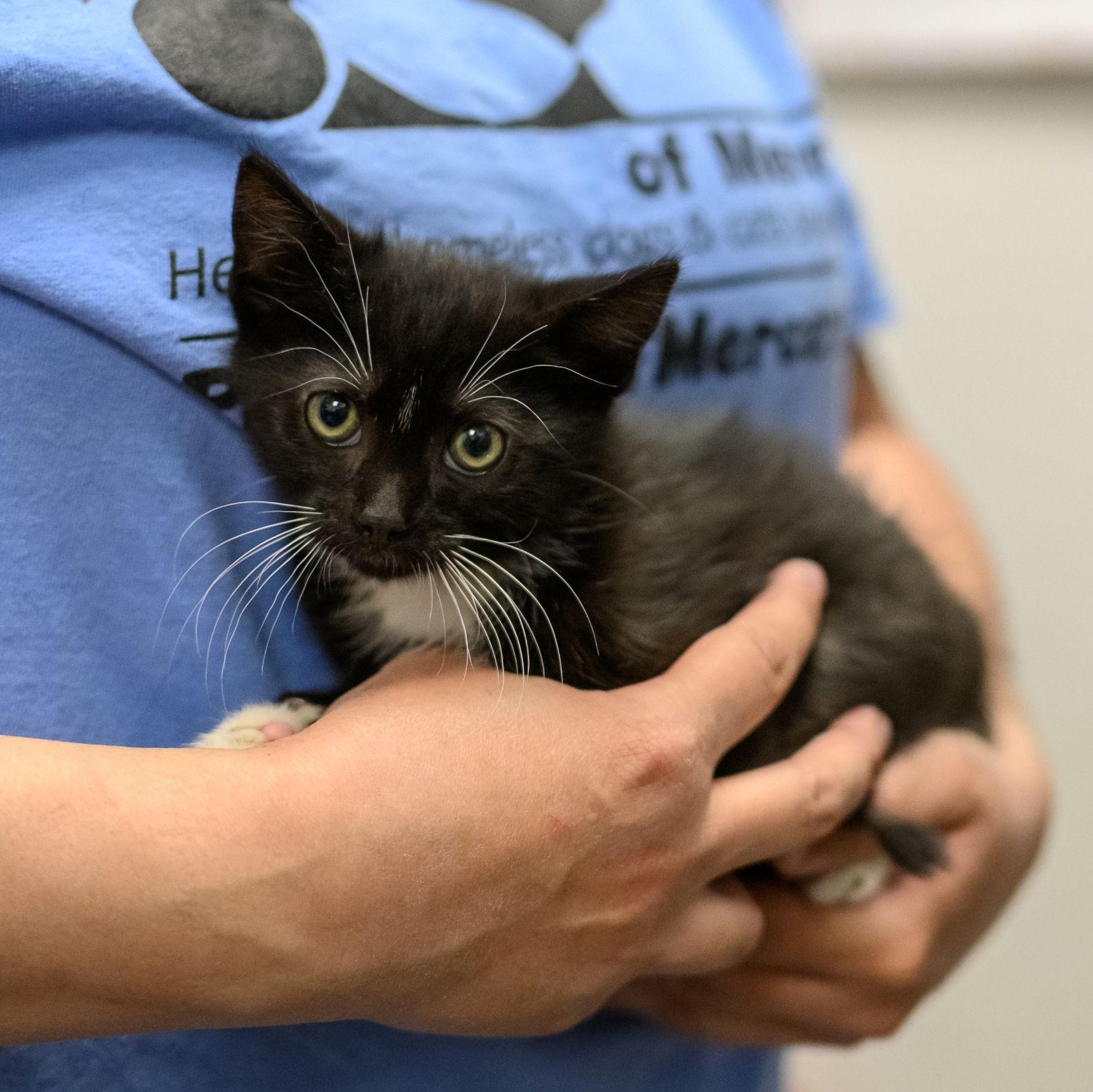 MR. CRABS, Baby Male Tuxedo
