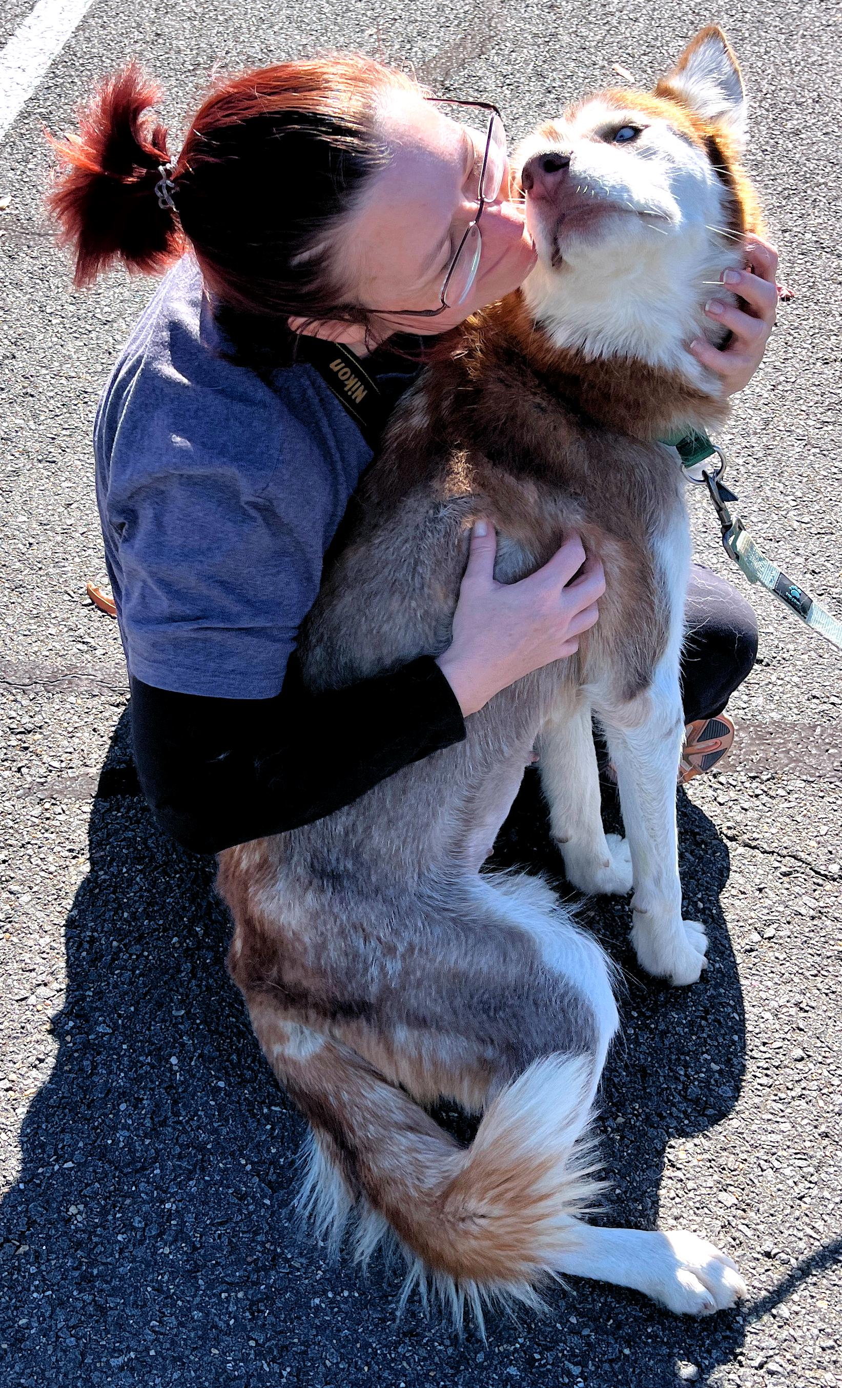 Enlarge Anne Marie, a Adopted Siberian Husky in Fredericksburg, VA image 4/6