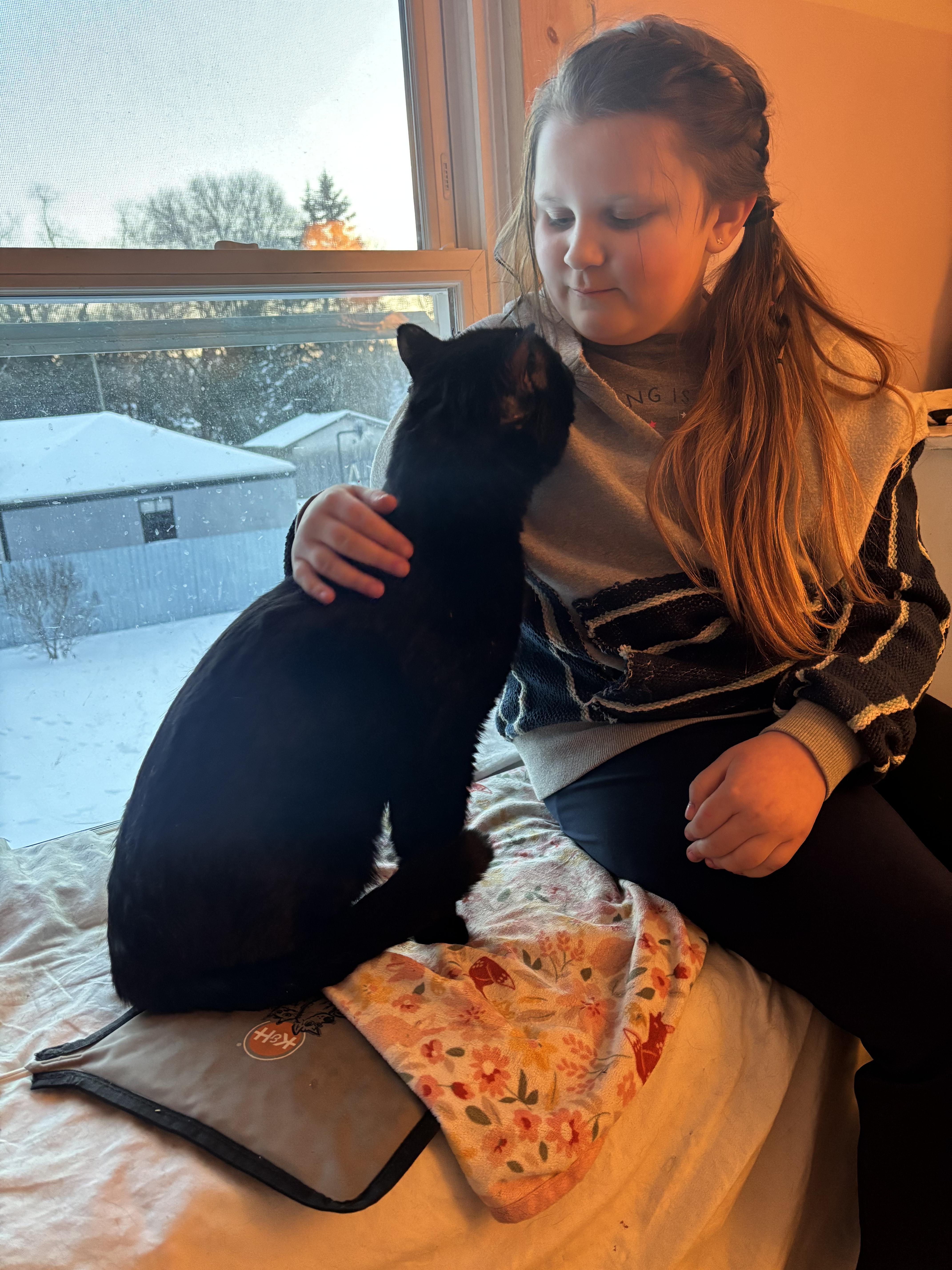 Bear! , a Adoptable mixed breed in Gladwin, MI image 2/5