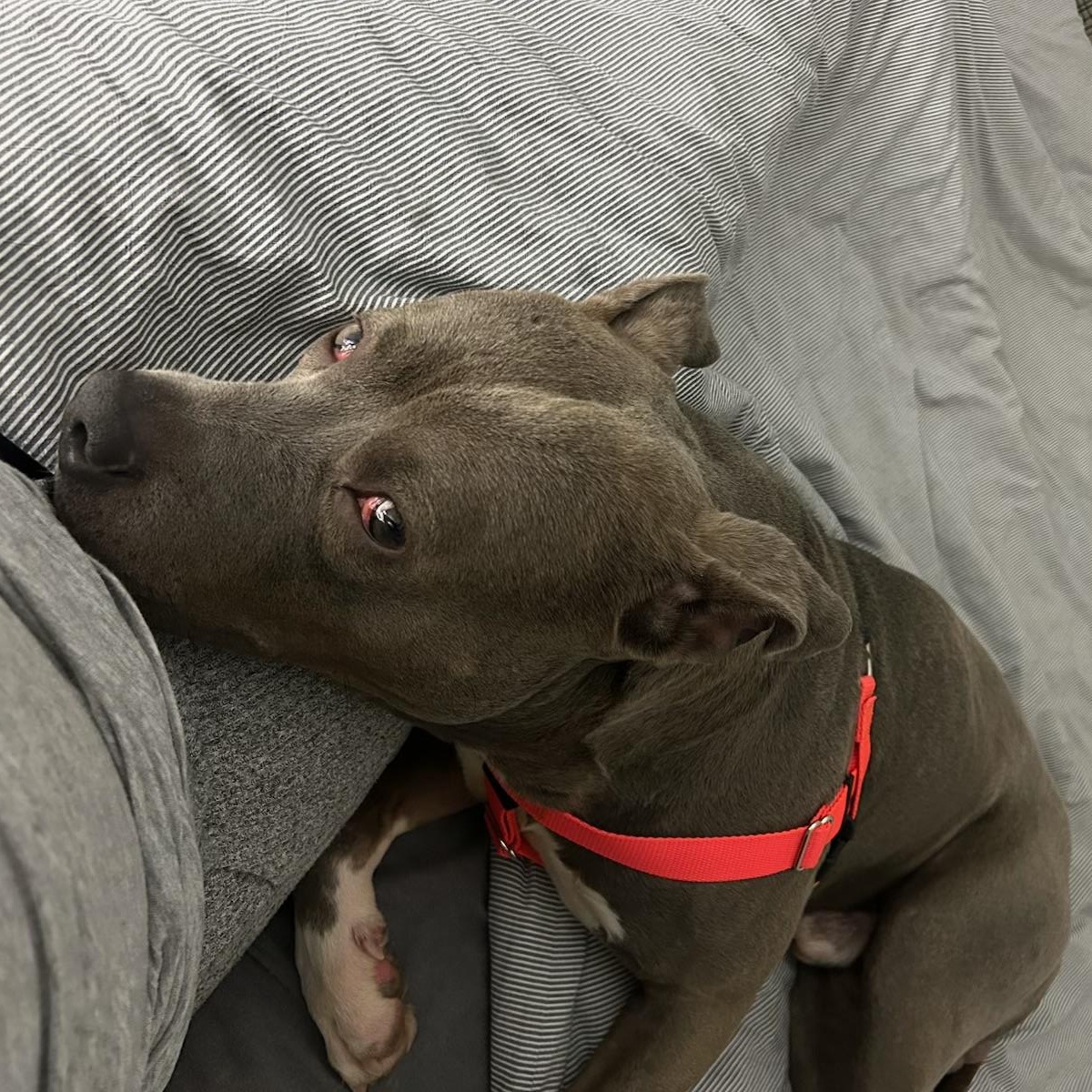 Buster
