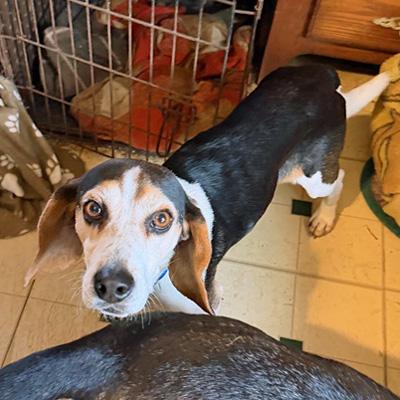 Colonel Sanders thumbnail 3