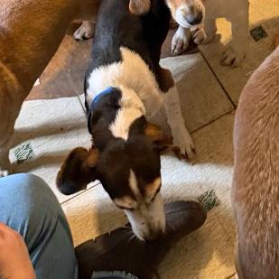 Colonel Sanders thumbnail 5