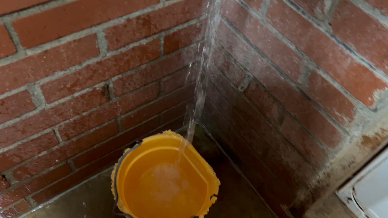 Enlarge Meatball, a Adoptable English Bulldog in Shawnee, OK video 4/5