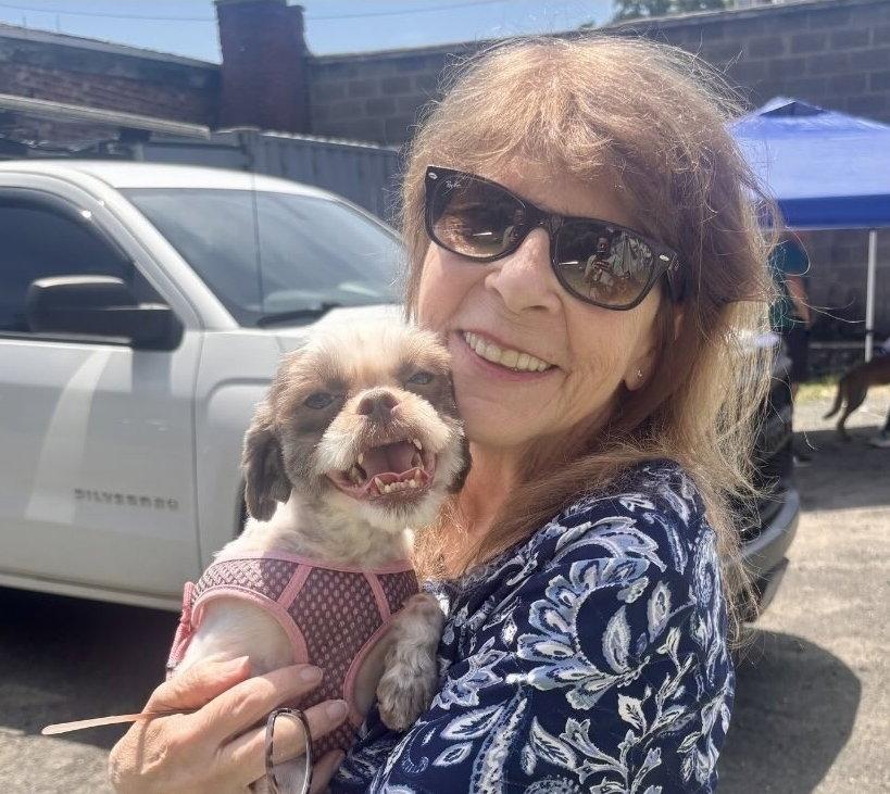 Enlarge Dahlia, a Adoptable Shih Tzu in Caldwell, NJ image 2/2