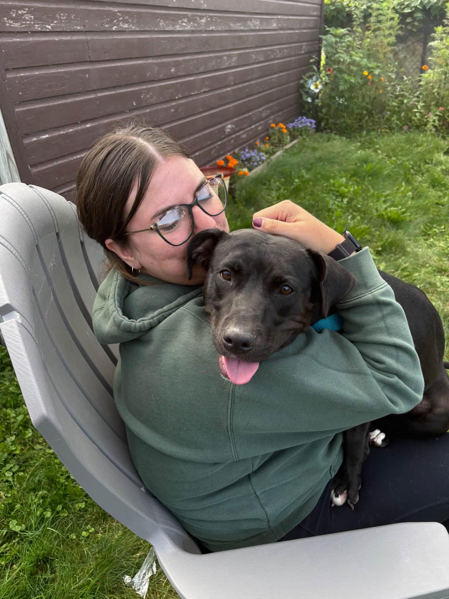 Enlarge Luna, a Adopted mixed breed in Cleveland, OH image 5/6