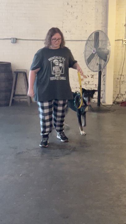 Enlarge Starlight, a Adoptable mixed breed in Clayton, NC video 5/5