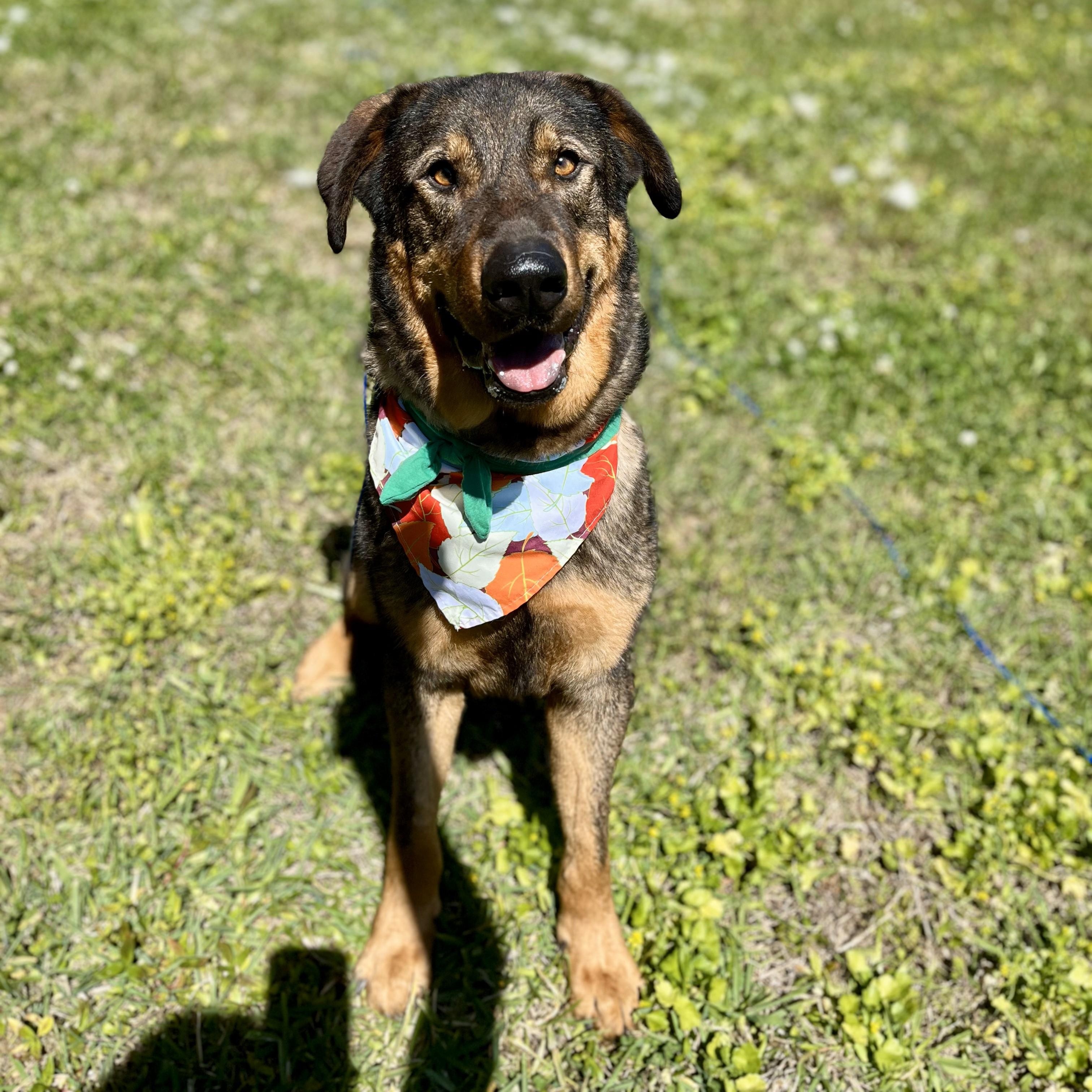 Montezuma — thumbnail 4