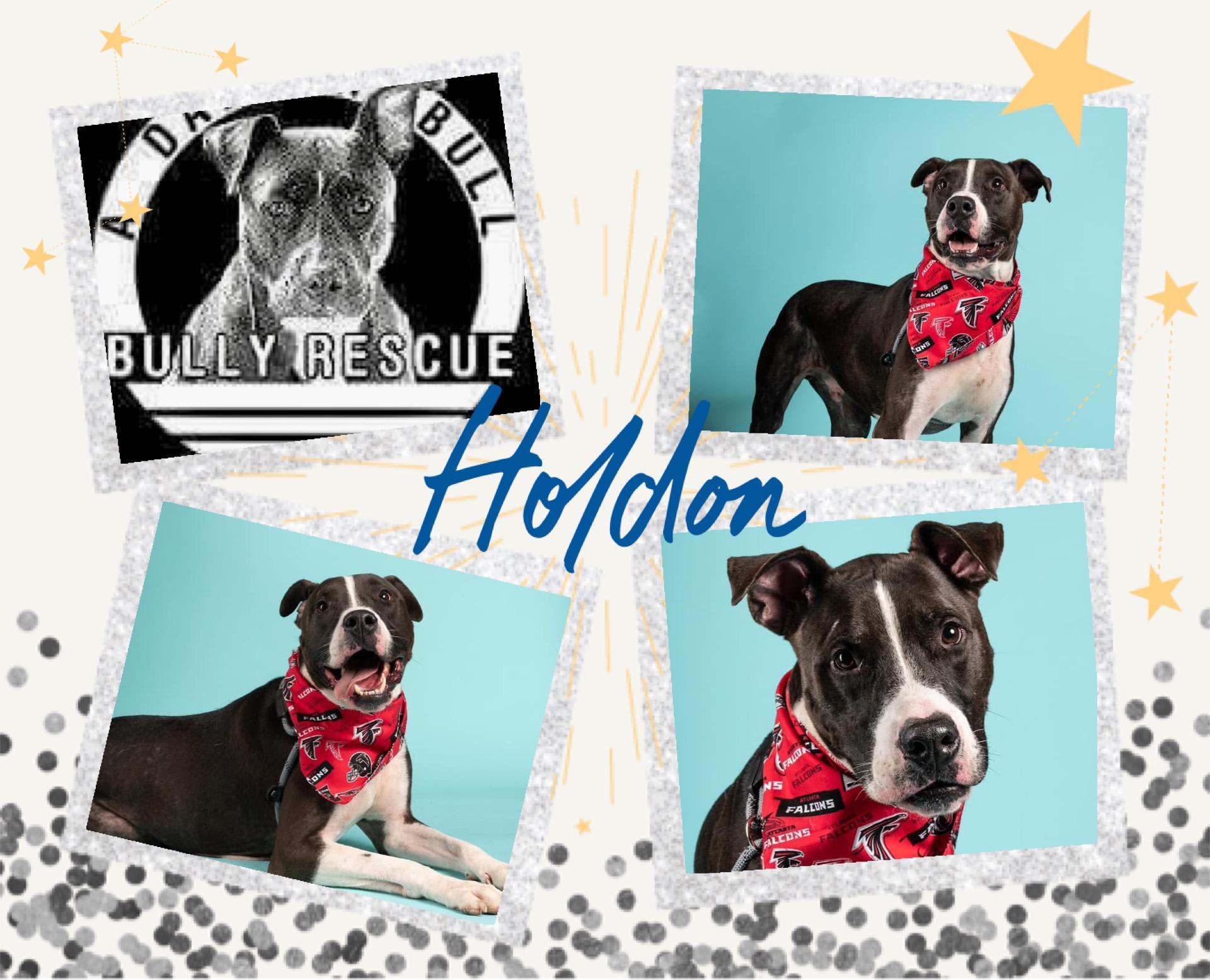 Holdon, Adult Male unknown