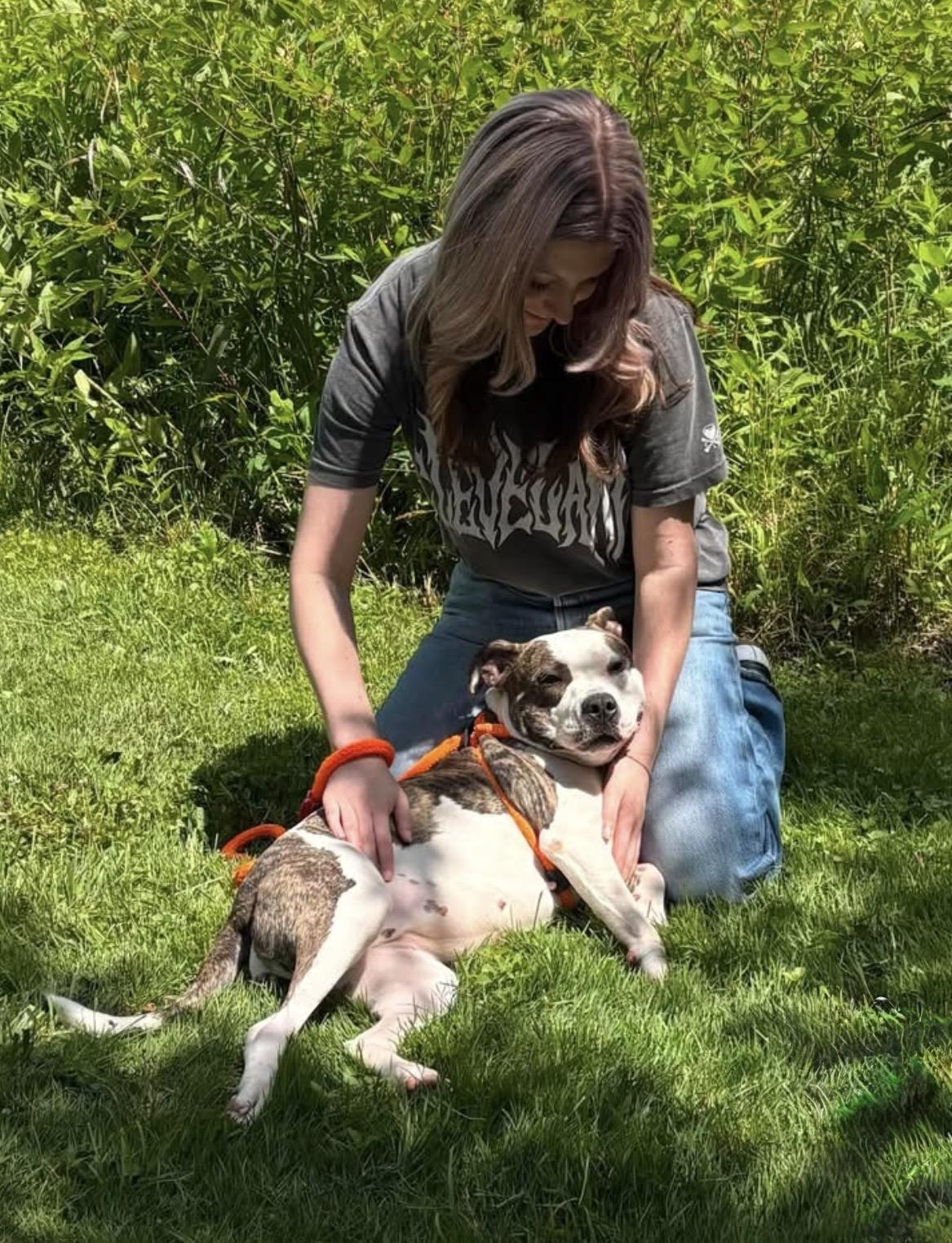 Moana, a ADOPTABLE Pit Bull Terrier in Youngstown, OH image 6/6