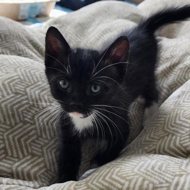 Cosmo