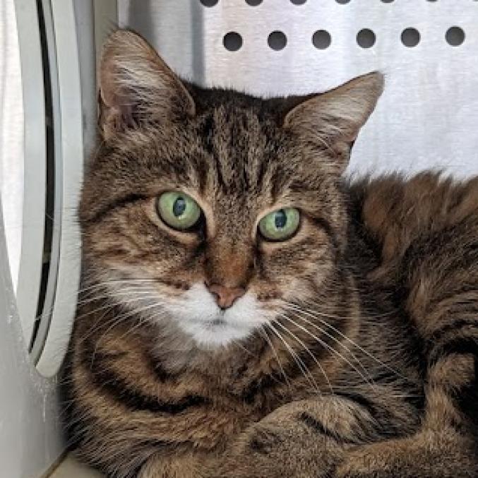 Nancy — thumbnail 2