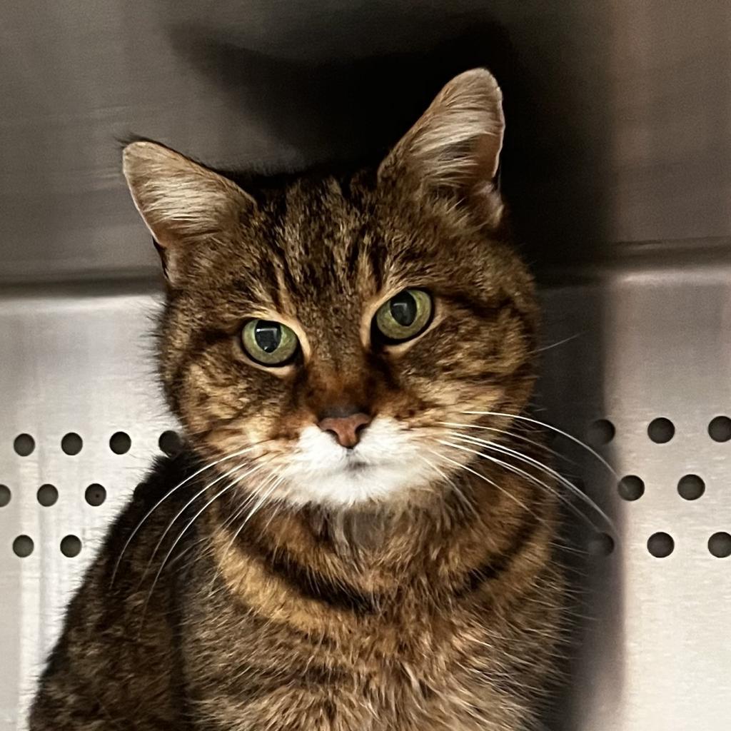 Nancy — thumbnail 3