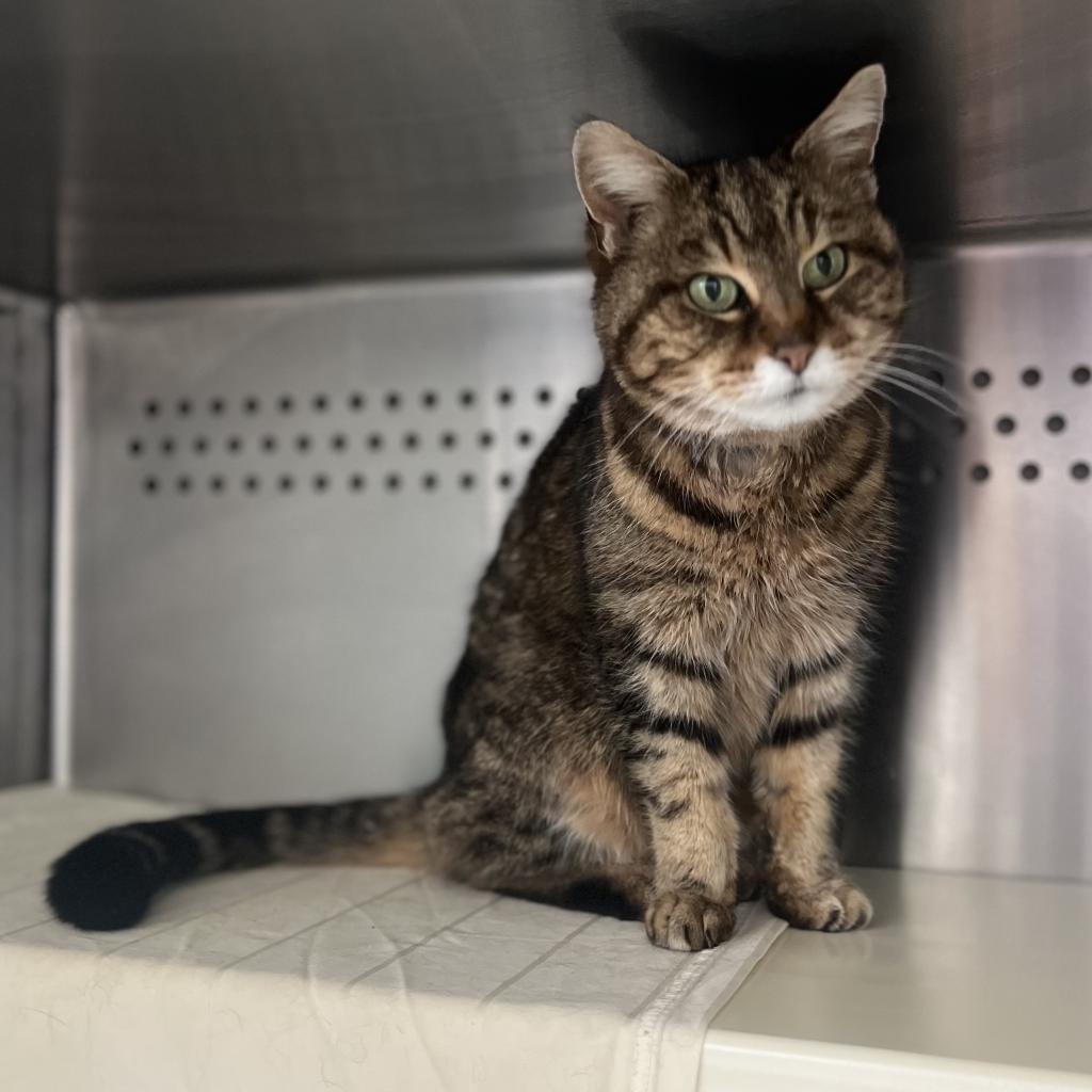 Nancy — thumbnail 4