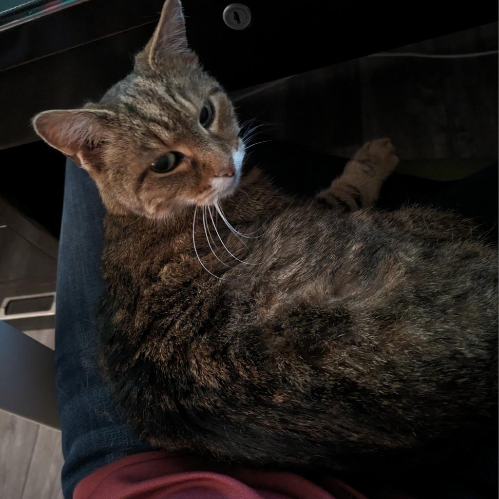 Nancy — thumbnail 5