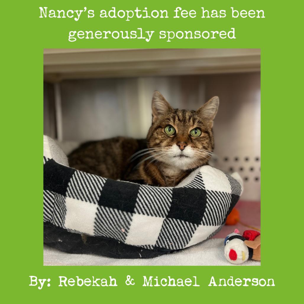 Nancy — thumbnail 6