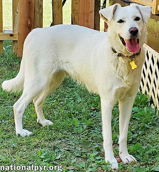 Jade in KY - Loves Hugs!