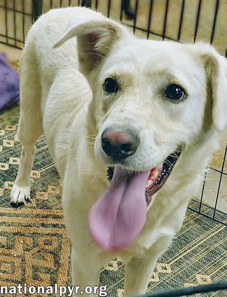 Jade in KY - Loves Hugs!