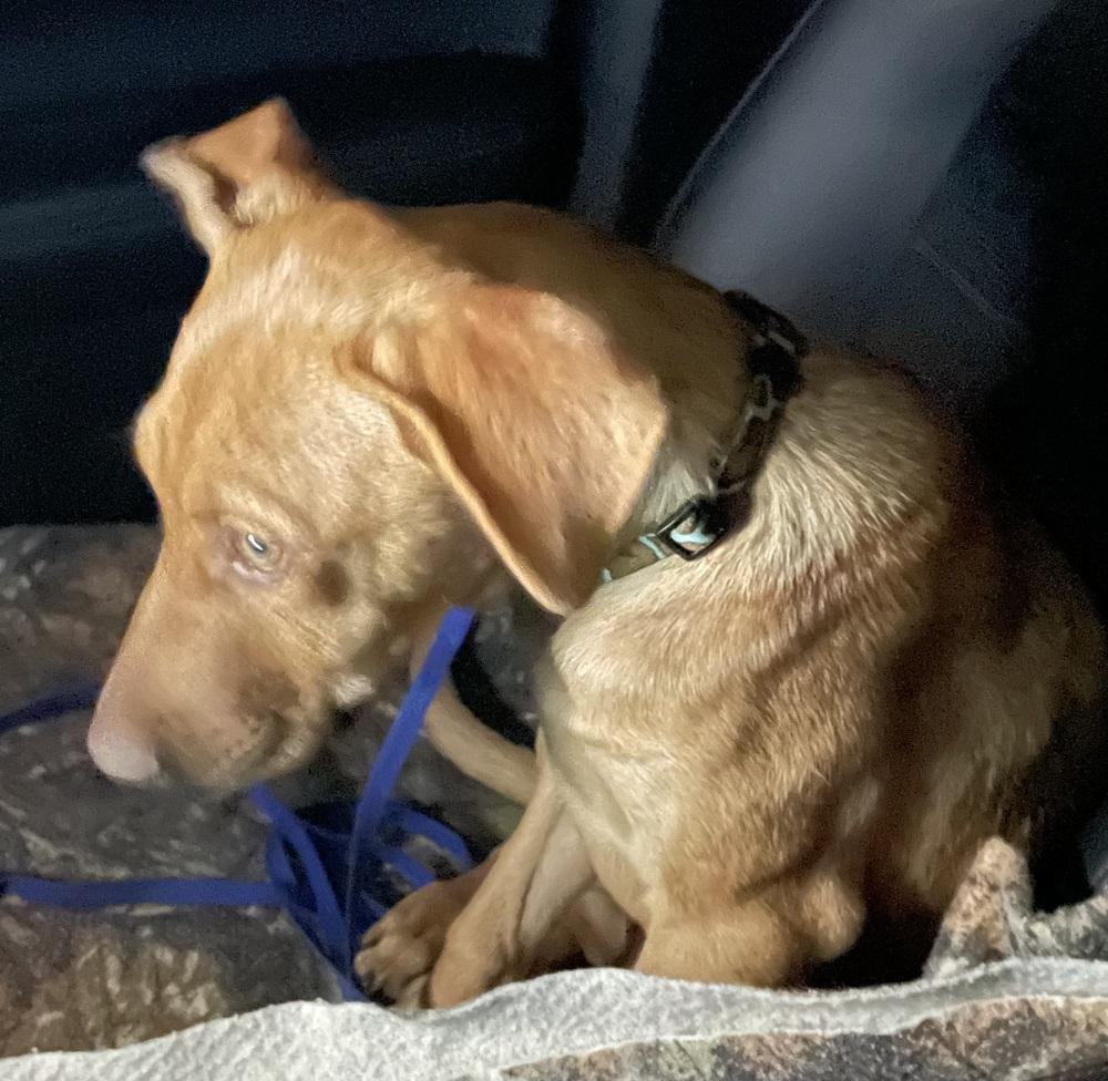 Julio — thumbnail 5