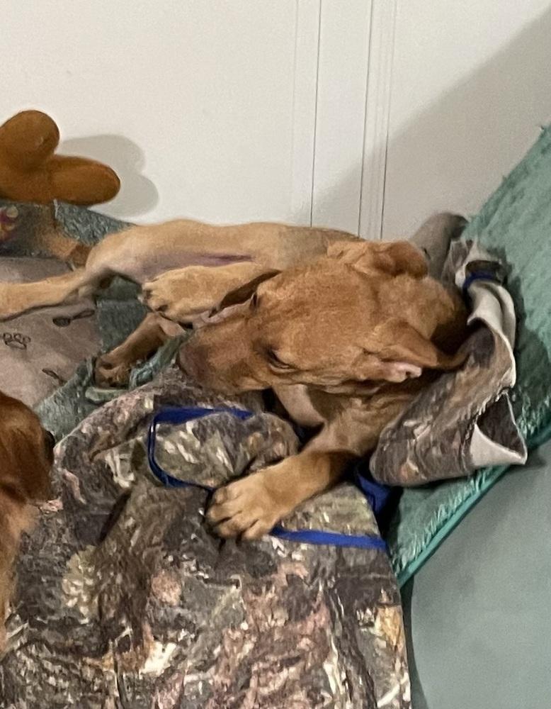 Julio — thumbnail 6