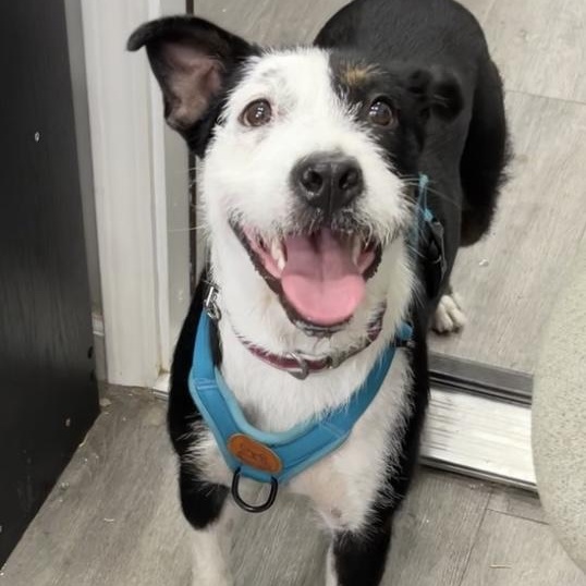 Fran — thumbnail 5