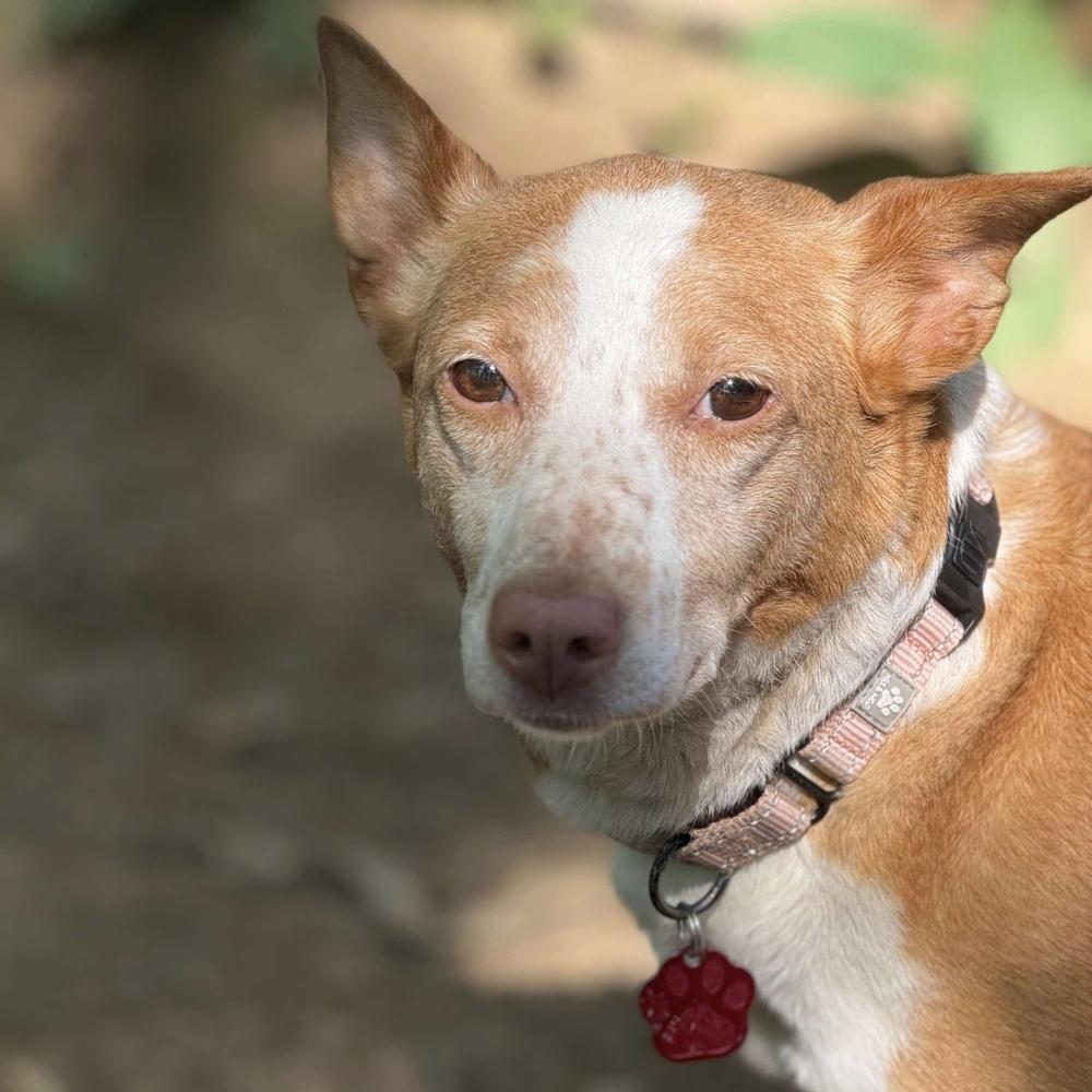 Betsylou thumbnail 3