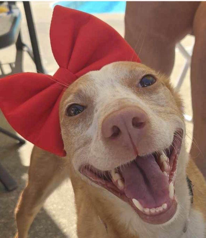 Betsylou thumbnail 4