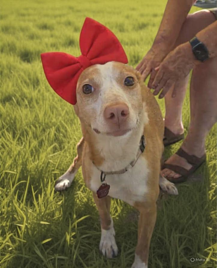 Betsylou thumbnail 5