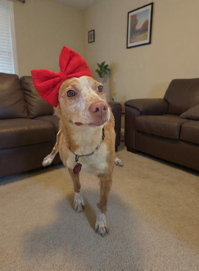 Betsylou thumbnail 6