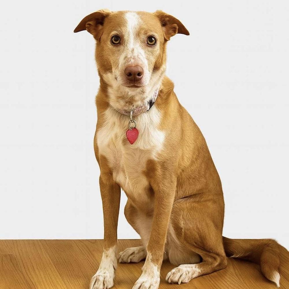 Betsylou thumbnail 7