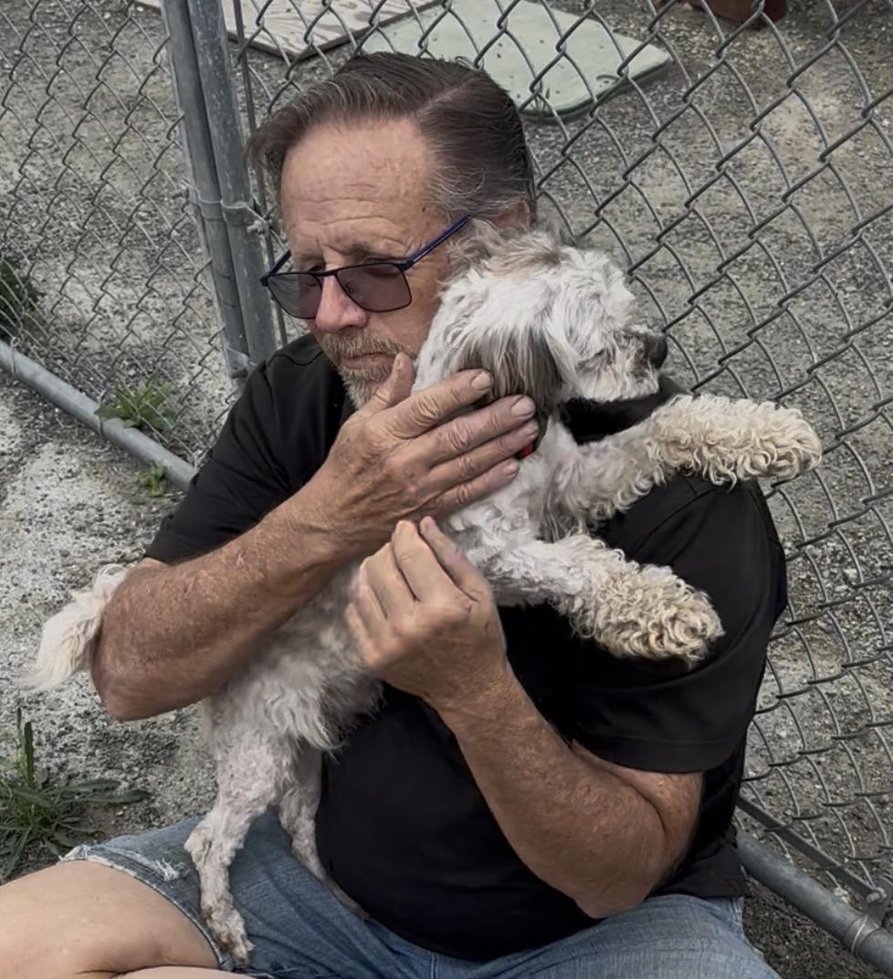 Enlarge Oscar, a ADOPTABLE mixed breed in Knightsen, CA image 3/6