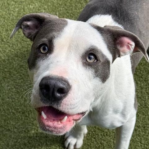 Breeze — thumbnail 2