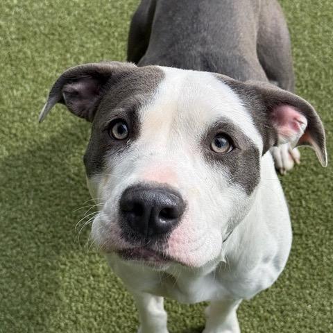 Breeze — thumbnail 3