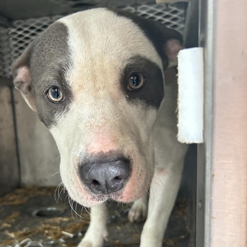 Breeze — thumbnail 4