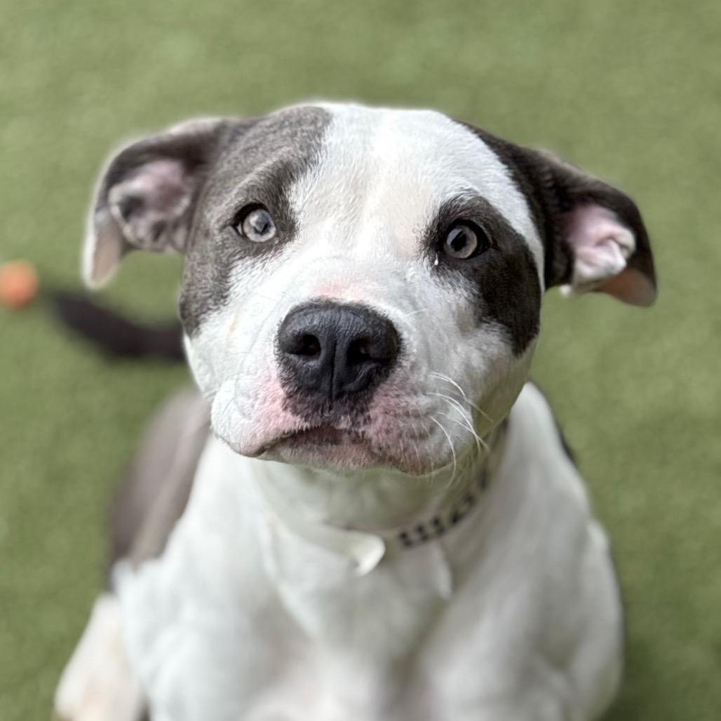 Breeze — thumbnail 5