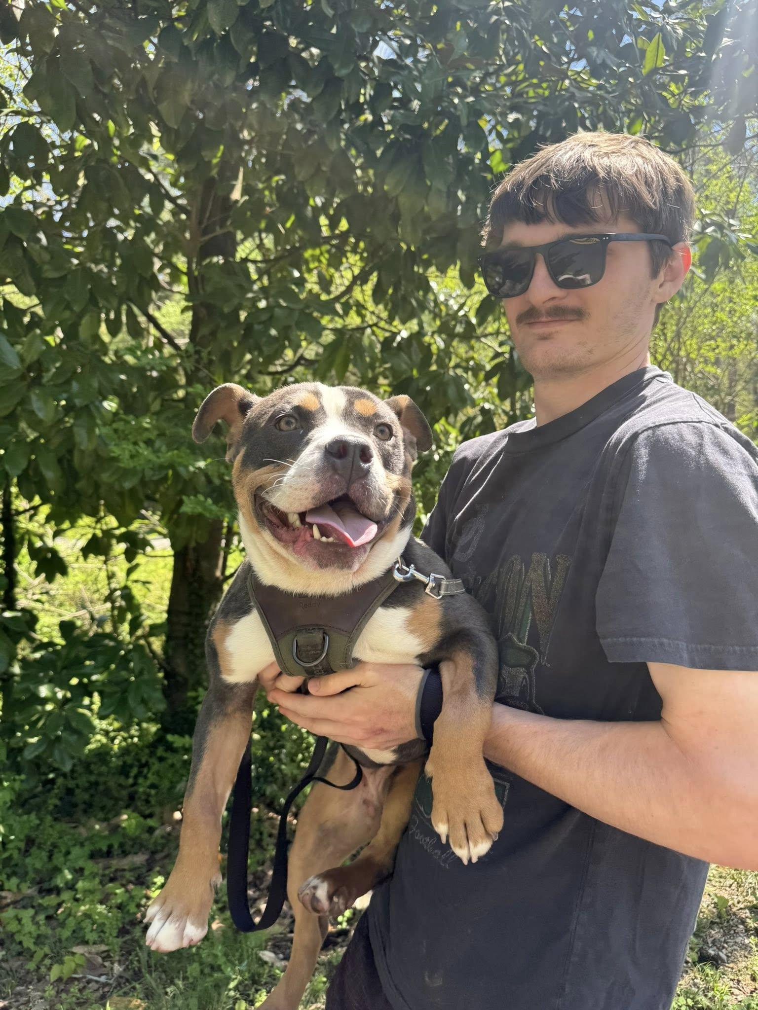 Enlarge Nilla aka Vanilla Bomb, an adopted mixed breed in Chattanooga, TN image 5/5