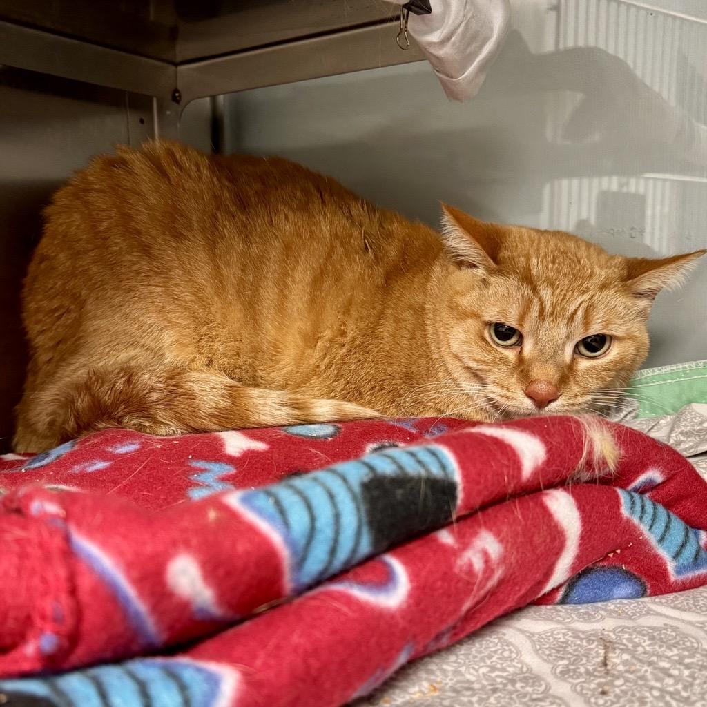 Midland Mi Calendar Of Events 