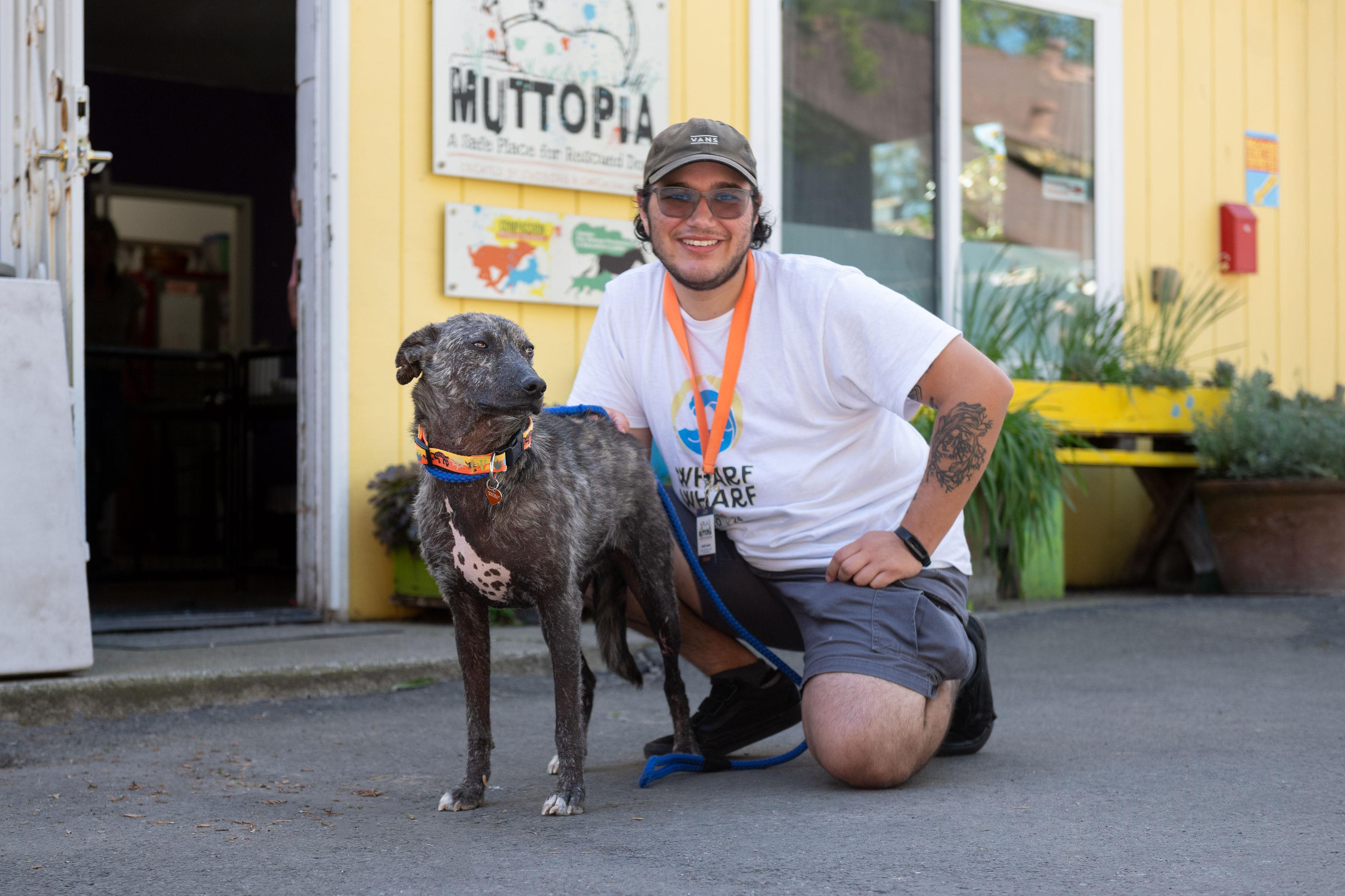 Enlarge Beto, a ADOPTABLE mixed breed in Santa Rosa, CA image 5/5