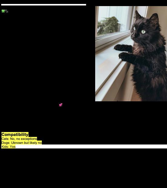 Enlarge Ottoman, a ADOPTABLE Domestic Medium Hair in Nanaimo, BC image 3/3