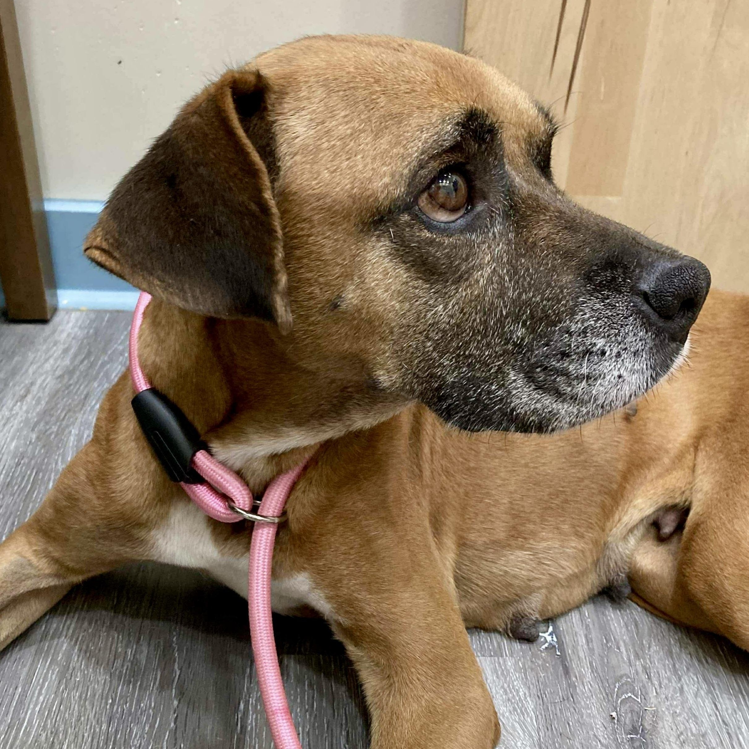 Sabine — thumbnail 4