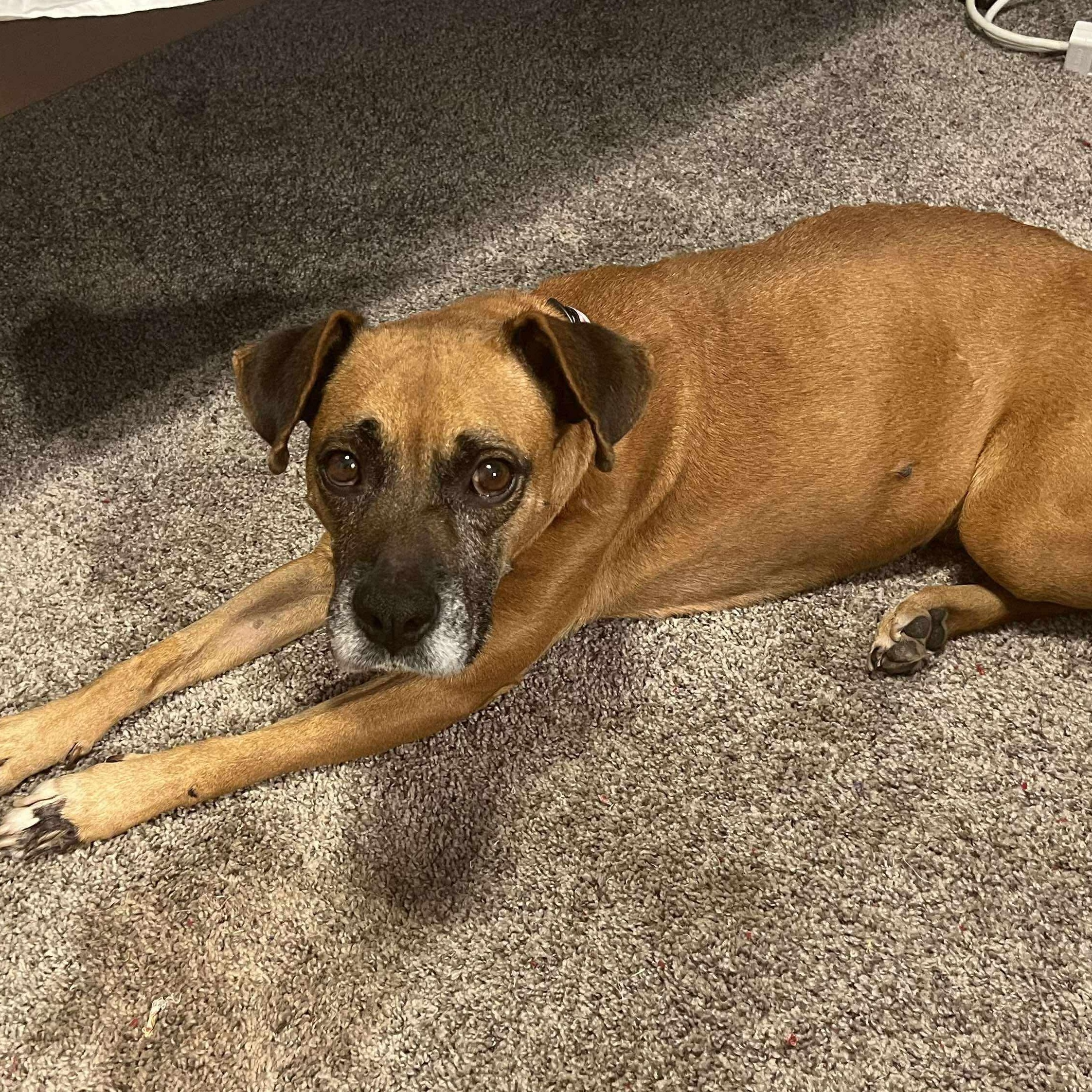 Sabine — thumbnail 5