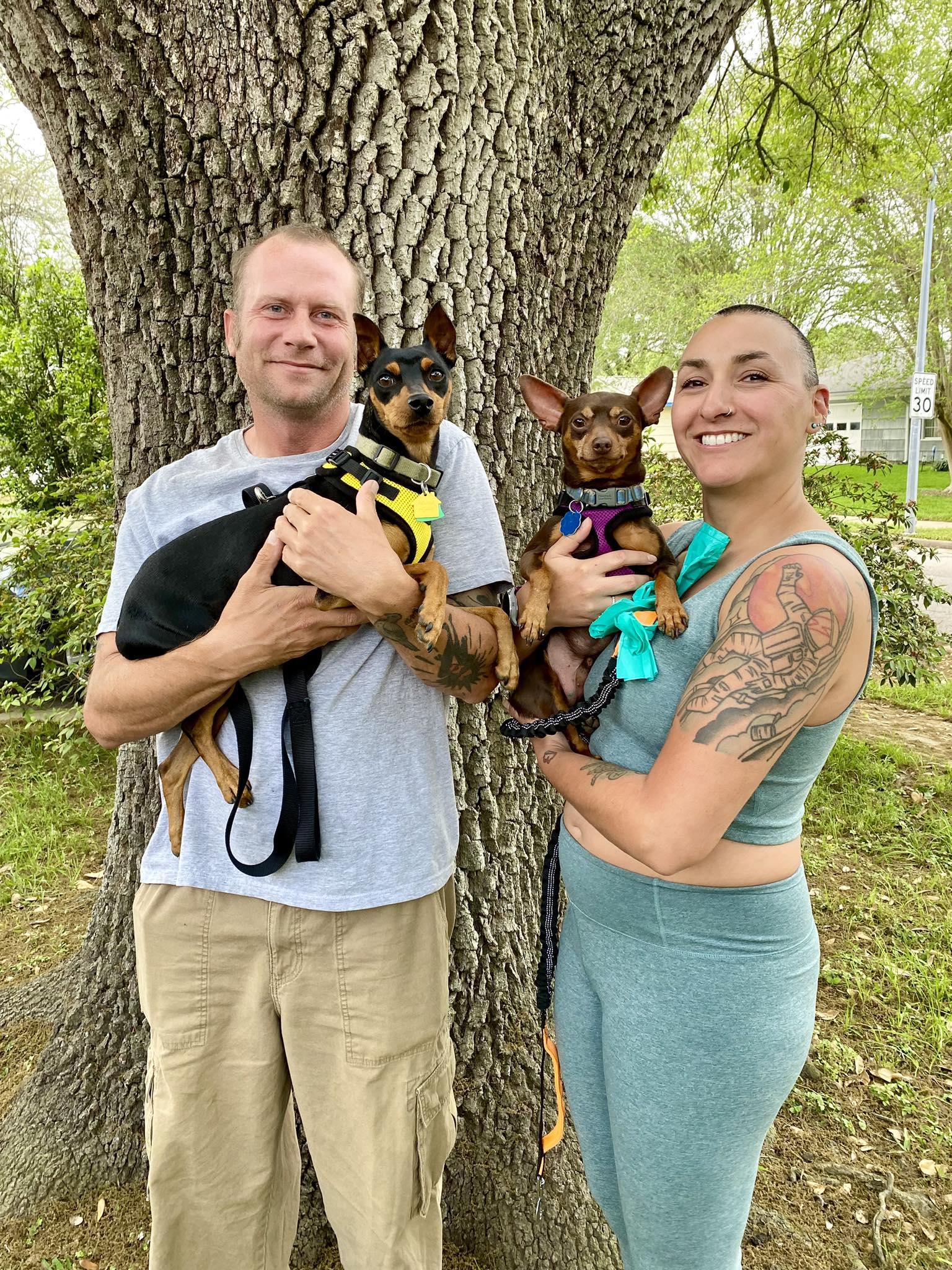 Enlarge Zeus - ADOPTED!, a ADOPTABLE Miniature Pinscher in Houston, TX image 6/6