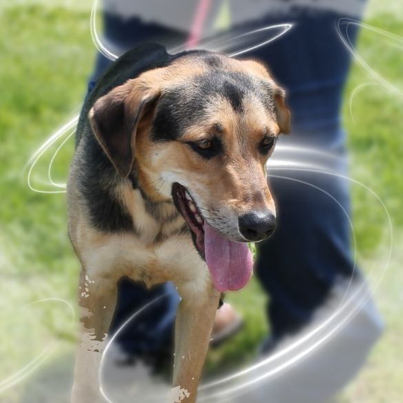 Miles photo 1