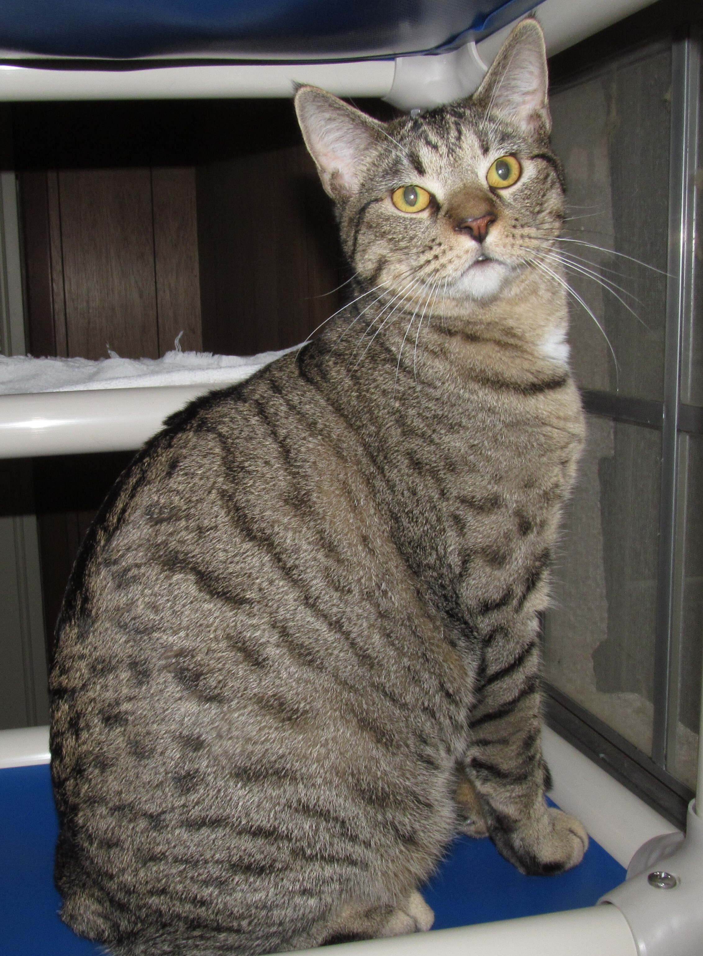 HUEY photo 2
