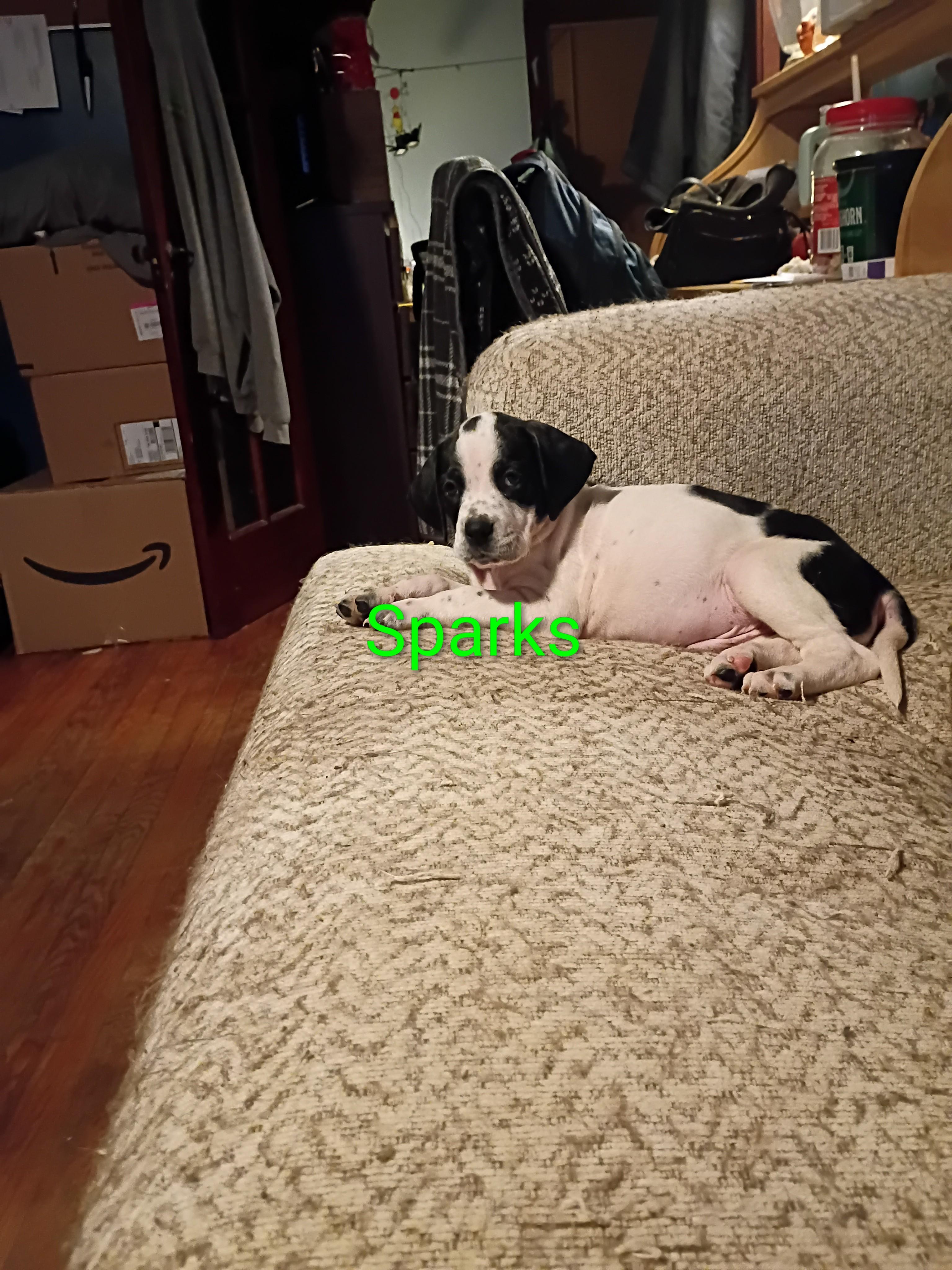 Sparks thumbnail 2