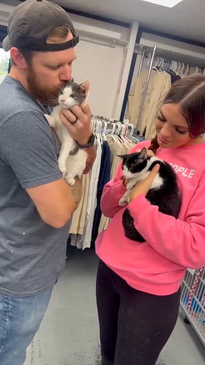 Enlarge Peanut is DEFINITELY purrfect - therapy kitten - VIDEO - OLD ENOUGH TO GO SOLO, a Adopted mixed breed in Bedford Hills, NY video 4/6