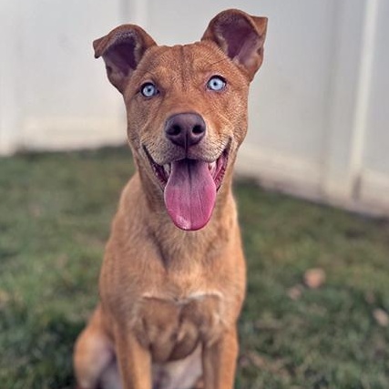 River — thumbnail 2