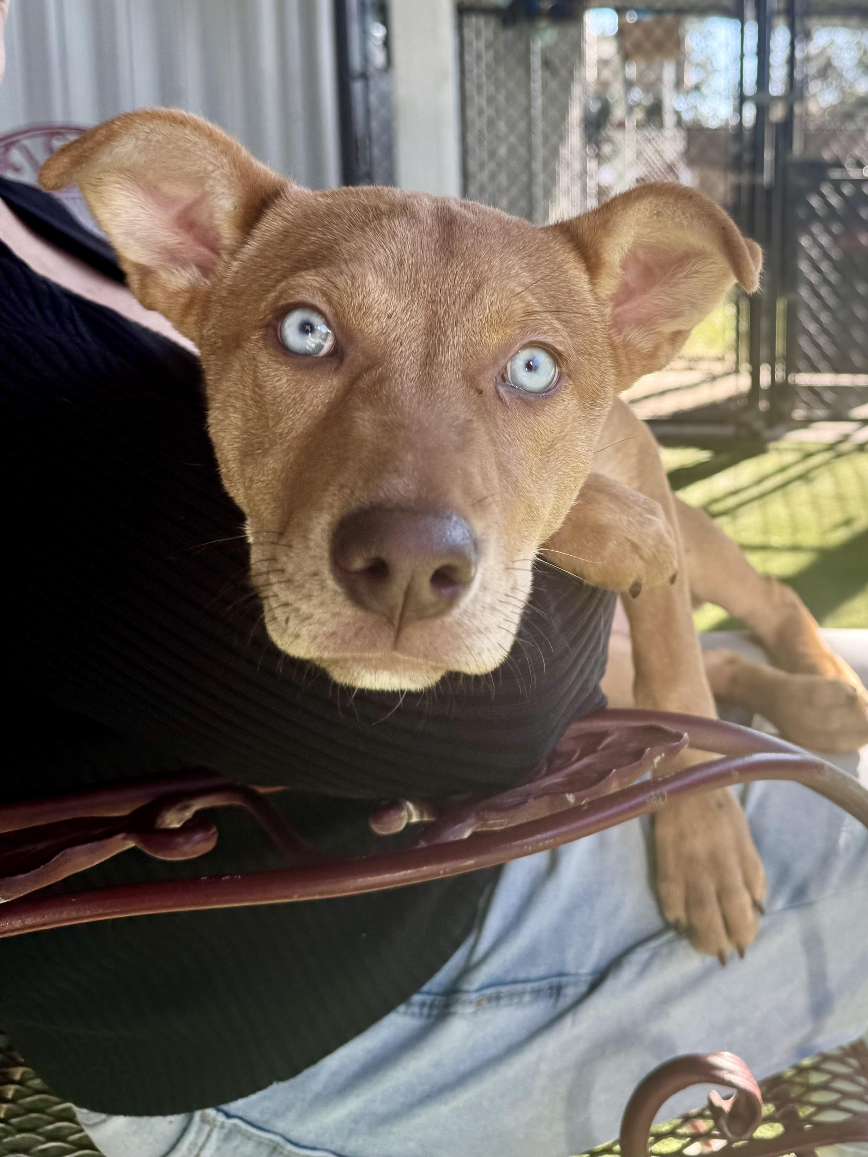 River — thumbnail 3