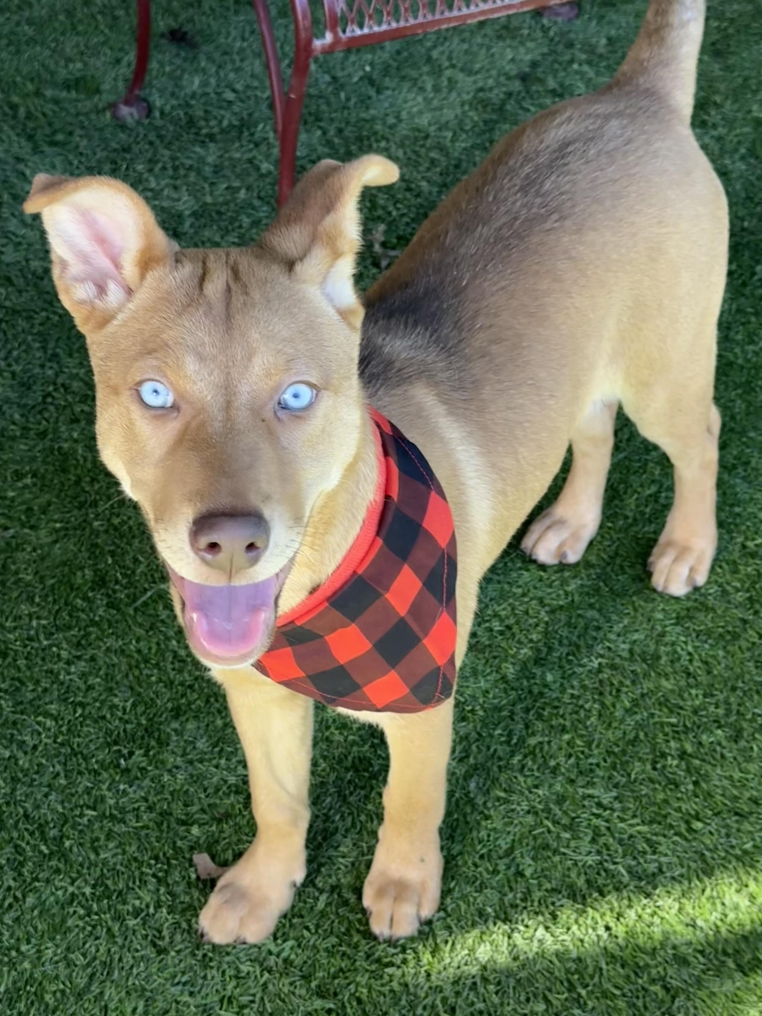 River — thumbnail 4