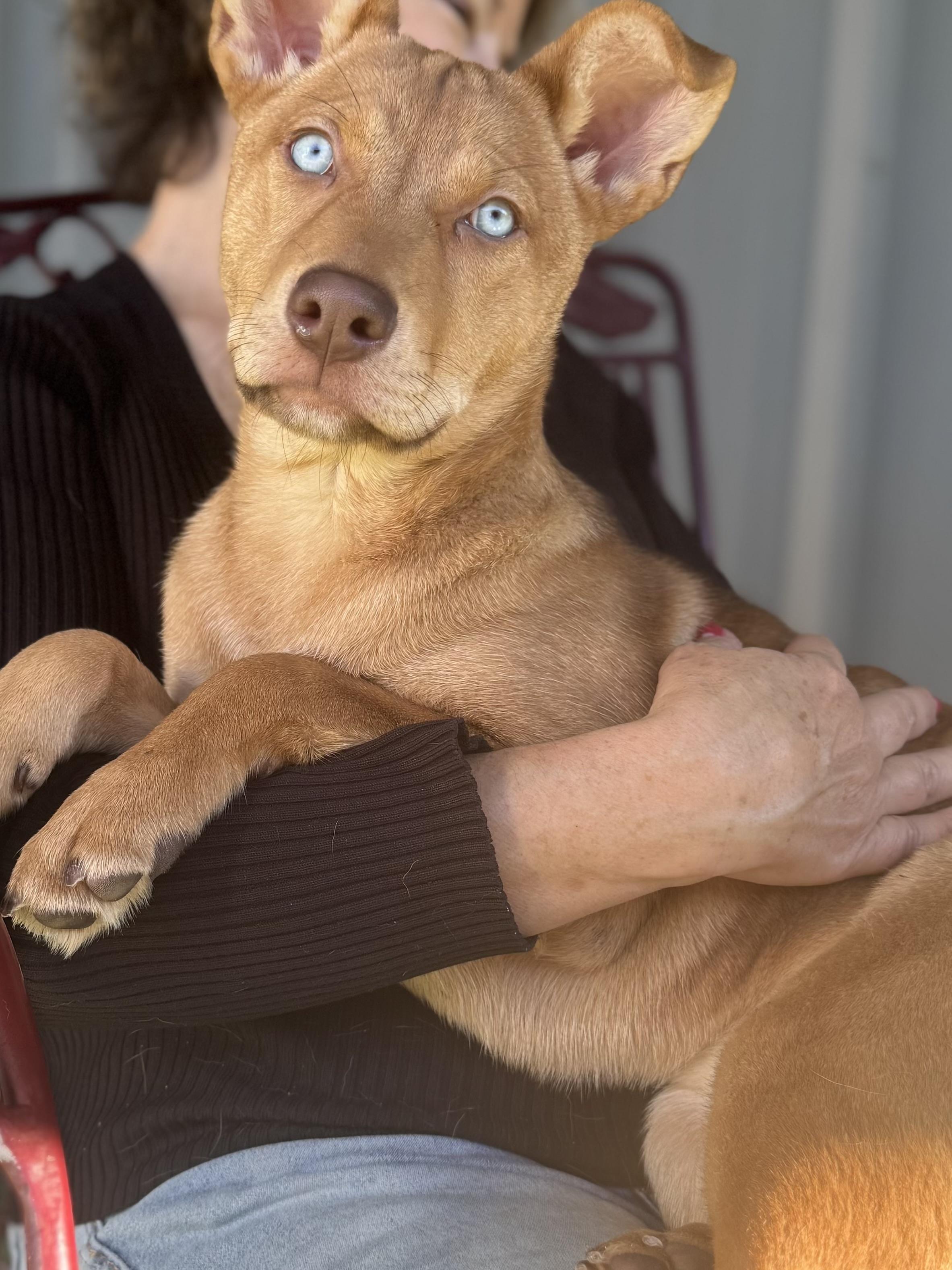 River — thumbnail 5