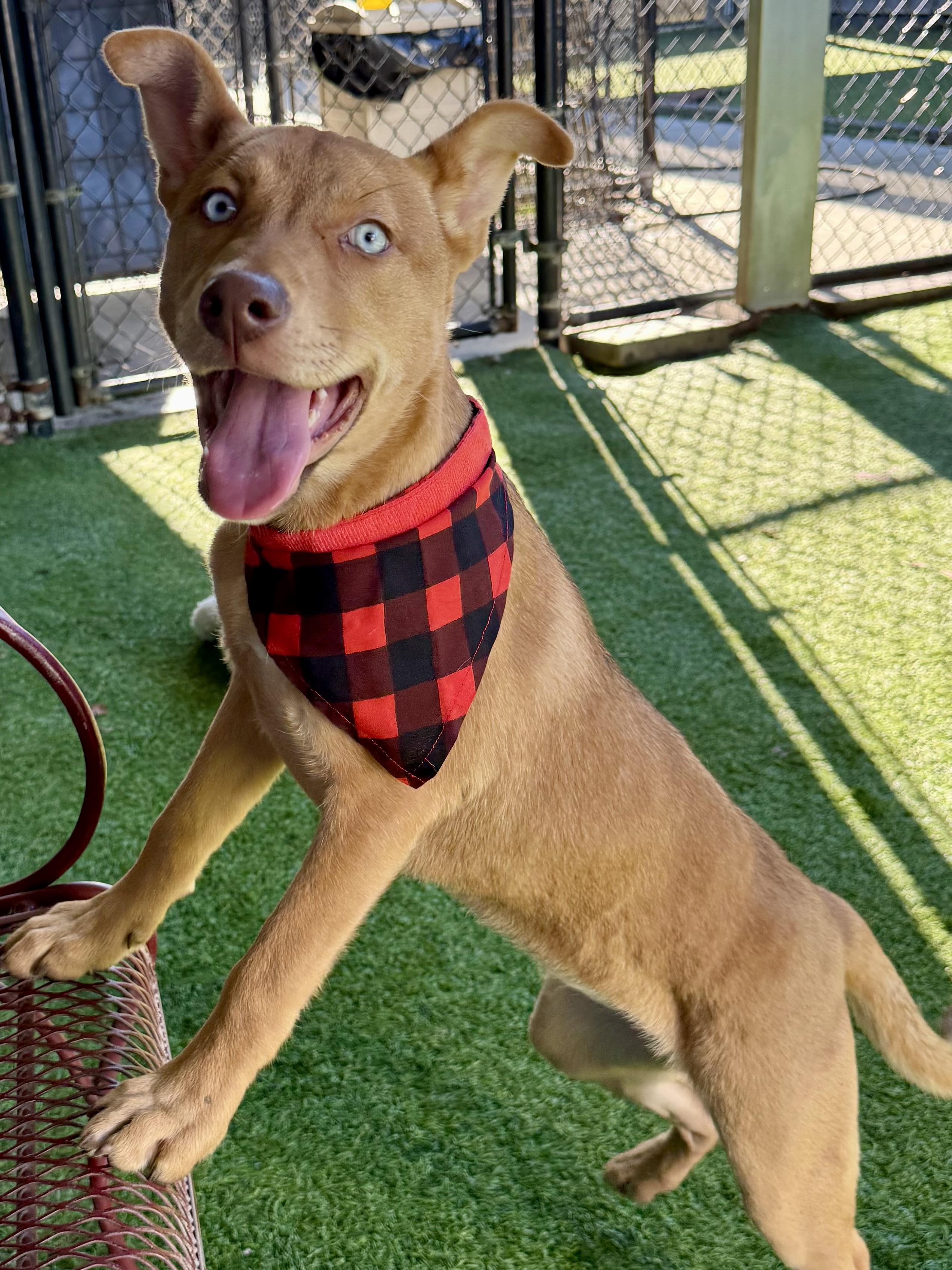 River — thumbnail 6